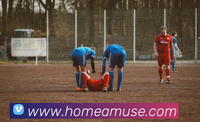 App Interface Preview